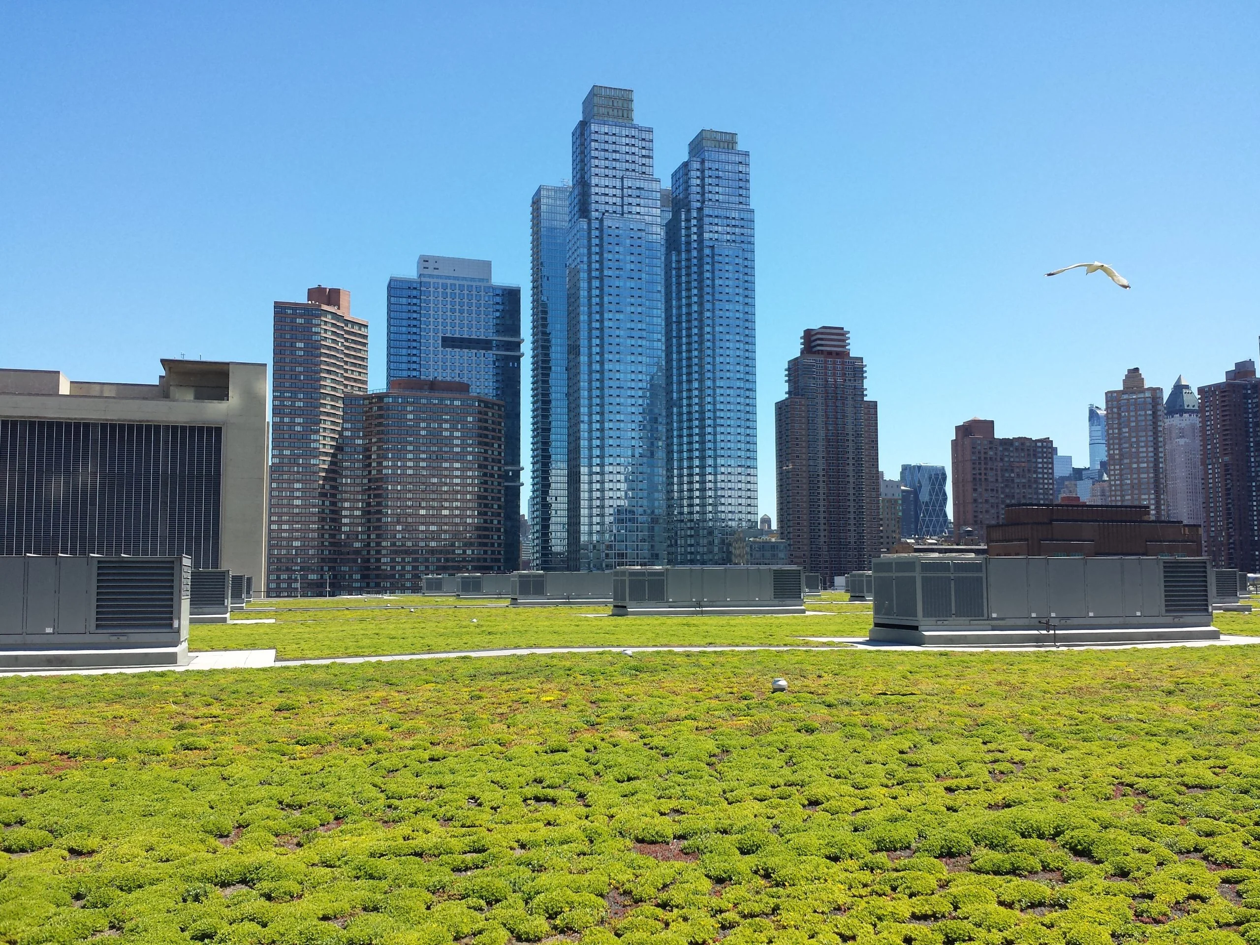 Javits 2016.06.14 02 1 scaled